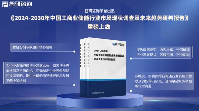 项目申报代理：创新与发展的桥梁